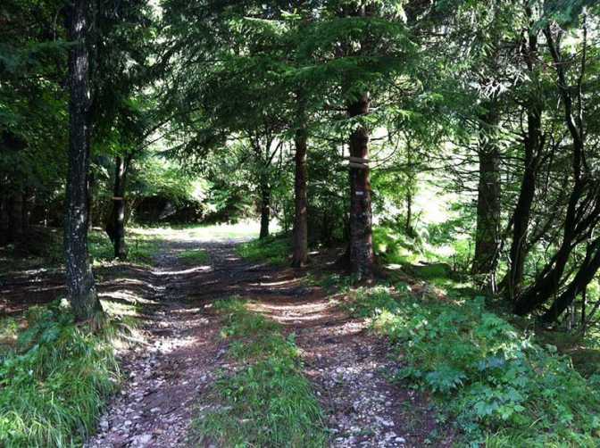 Promenade de carême