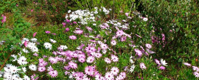 Prière à nos Fondateurs